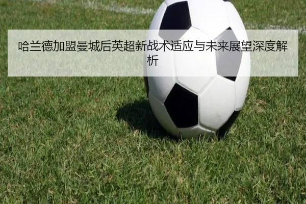 哈兰德加盟曼城后英超新战术适应与未来展望深度解析